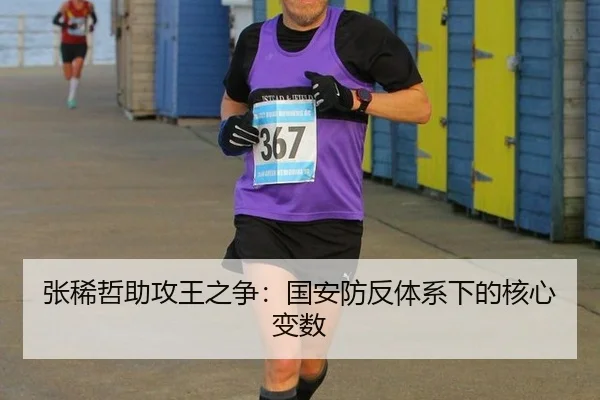 张稀哲助攻王之争：国安防反体系下的核心变数