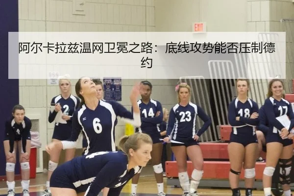 a-er-ka-la-zi-wen-wang-wei-mian-zhi-lu-di-xian-gong-shi-neng-fou-ya-zhi-de-yue-3-294.jpg