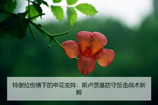te-xie-la-shang-qing-xia-de-shen-hua-bian-zhen-si-lu-ci-ji-fang-shou-fan-ji-zhan-shu-xin-jie-2-294.jpg