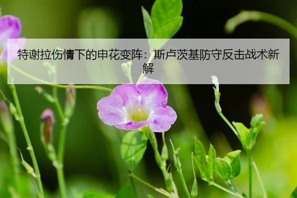 te-xie-la-shang-qing-xia-de-shen-hua-bian-zhen-si-lu-ci-ji-fang-shou-fan-ji-zhan-shu-xin-jie-3-139.jpg