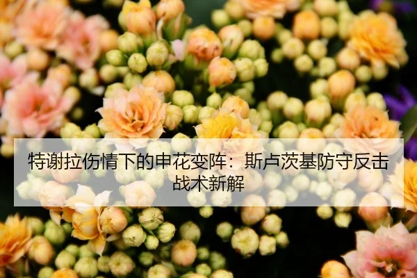 特谢拉伤情下的申花变阵：斯卢茨基防守反击战术新解